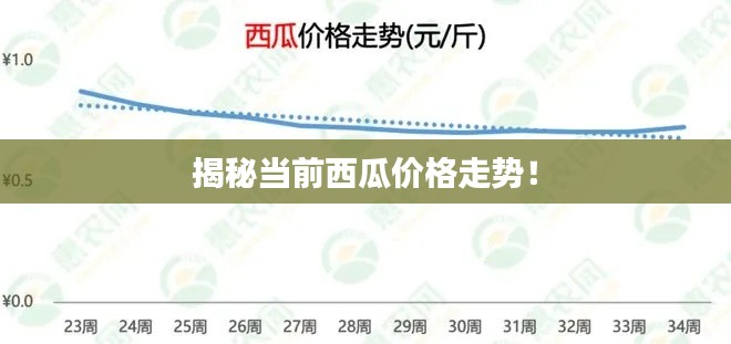 揭秘当前西瓜价格走势!