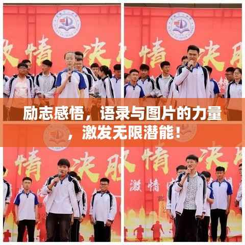 励志感悟,语录与图片的力量,激发无限潜能!