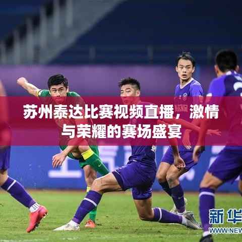 苏州泰达比赛视频直播,激情与荣耀的赛场盛宴