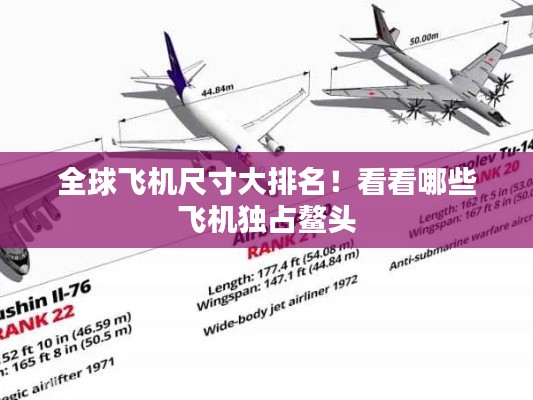 全球飞机尺寸大排名!看看哪些飞机独占鳌头