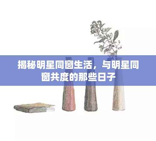 揭秘明星同窗生活,与明星同窗共度的那些日子