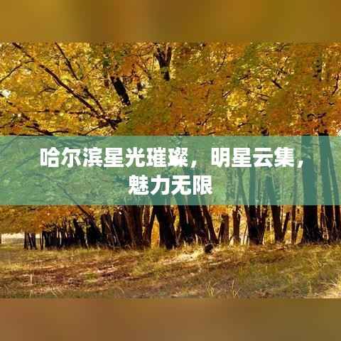 哈尔滨星光璀璨，明星云集，魅力无限