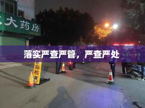 落实严查严管,严查严处