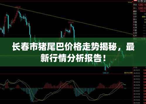 长春市猪尾巴价格走势揭秘,最新行情分析报告!