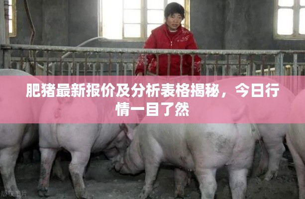 出境旅游 第129页