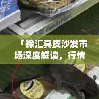 「徐汇真皮沙发市场深度解读,行情、趋势与前景分析」