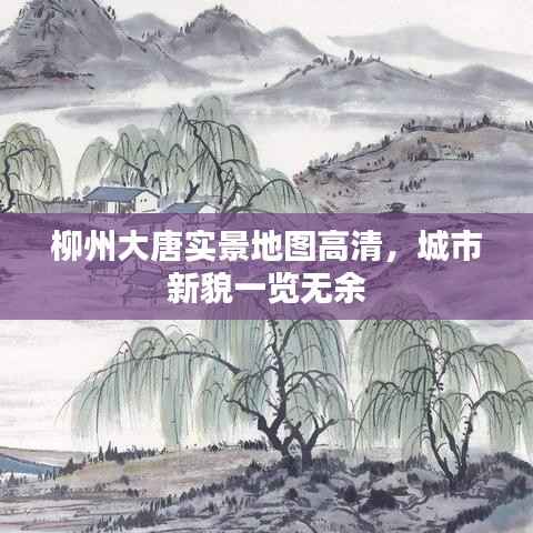 柳州大唐实景地图高清,城市新貌一览无余