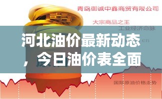 河北油价最新动态,今日油价表全面解析,油价走势及影响因素一网打尽!