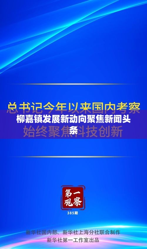 柳嘉镇发展新动向聚焦新闻头条