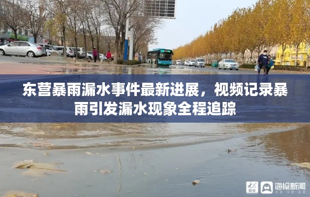 东营暴雨漏水事件最新进展,视频记录暴雨引发漏水现象全程追踪