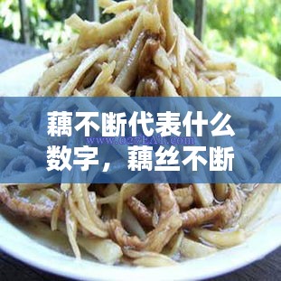 藕不断代表什么数字,藕丝不断的意思