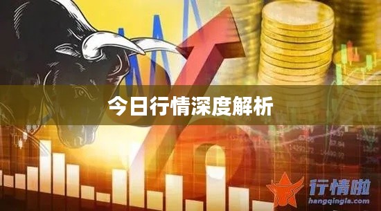 今日行情深度解析
