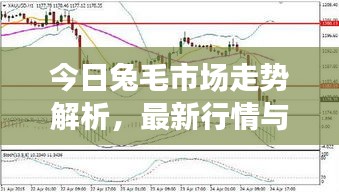 今日兔毛市场走势解析,最新行情与影响因素深度剖析
