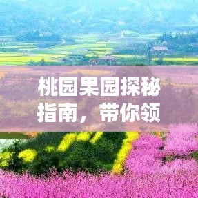桃园果园探秘指南，带你领略果香四溢的绝美风光！