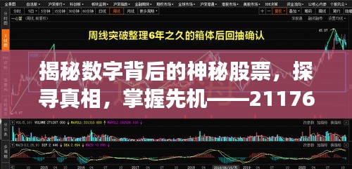 揭秘数字背后的神秘股票,探寻真相,掌握先机——211766股票真实身份大解密!