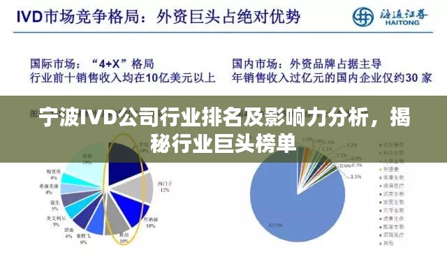 宁波IVD公司行业排名及影响力分析,揭秘行业巨头榜单