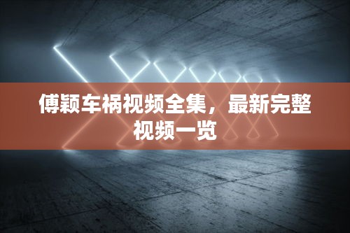 傅颖车祸视频全集,最新完整视频一览