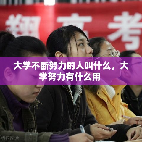 大学不断努力的人叫什么,大学努力有什么用