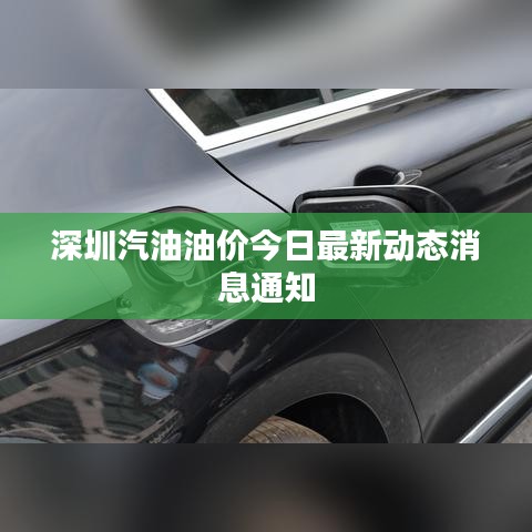 深圳汽油油价今日最新动态消息通知