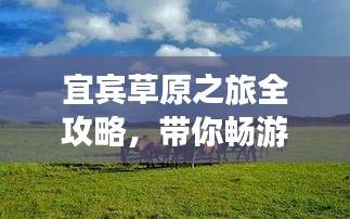 宜宾草原之旅全攻略,带你畅游秘境!