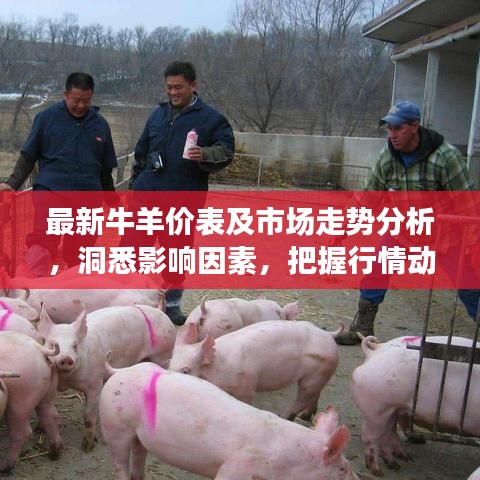 最新牛羊价表及市场走势分析,洞悉影响因素,把握行情动态