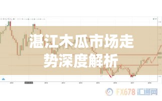 湛江木瓜市场走势深度解析