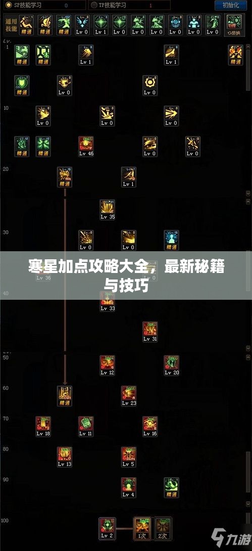 寒星加点攻略大全,最新秘籍与技巧