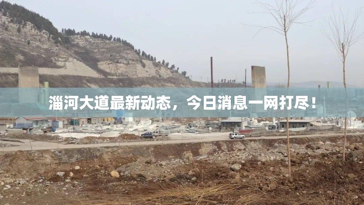 淄河大道最新动态,今日消息一网打尽!