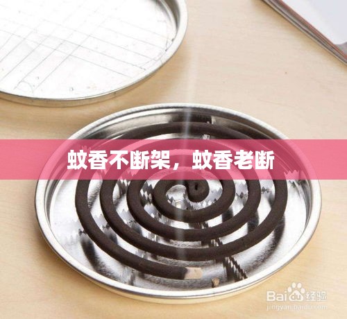 鸟骇鼠窜 第3页