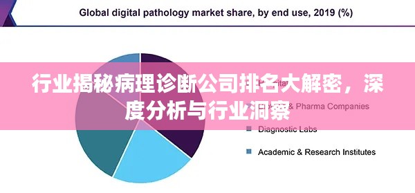 行业揭秘病理诊断公司排名大解密,深度分析与行业洞察