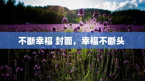 不断幸福 封面,幸福不断头