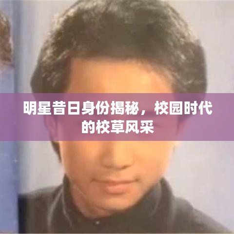 明星昔日身份揭秘,校园时代的校草风采