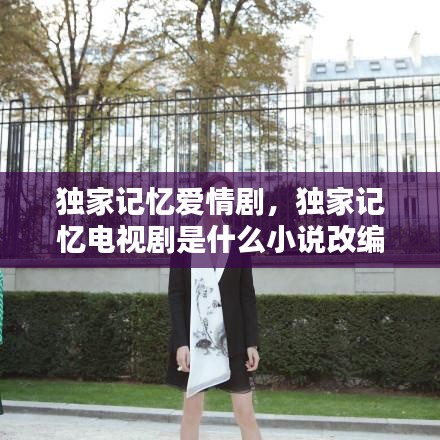 独家记忆爱情剧,独家记忆电视剧是什么小说改编的