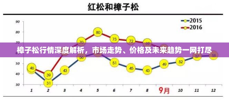 樟子松行情深度解析,市场走势、价格及未来趋势一网打尽