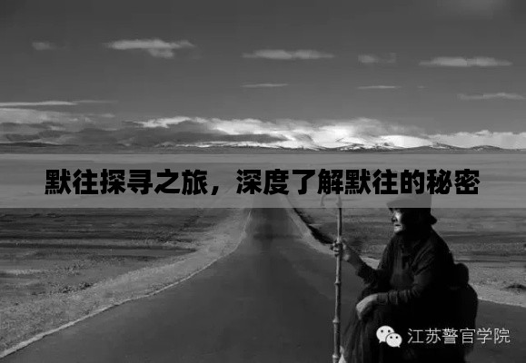 默往探寻之旅,深度了解默往的秘密