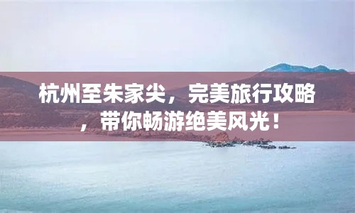 金石为开 第2页