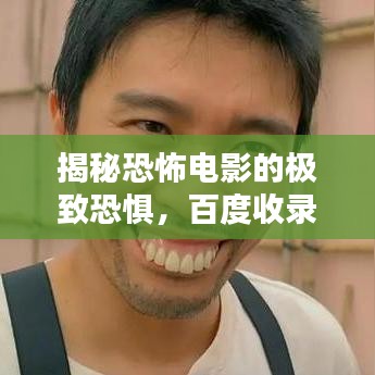 揭秘恐怖电影的极致恐惧,百度收录的鬼片盘点