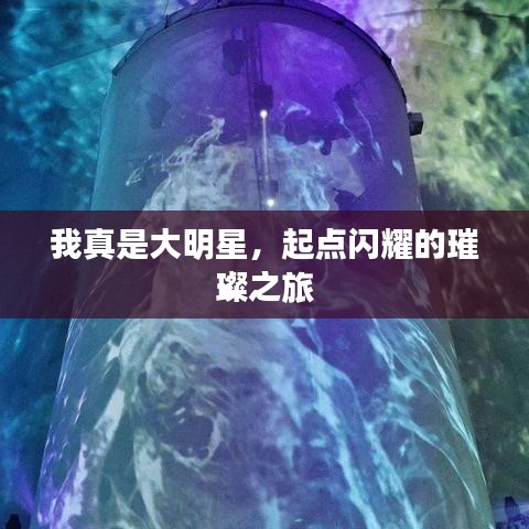 我真是大明星,起点闪耀的璀璨之旅