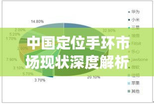 中国定位手环市场现状深度解析与未来趋势展望
