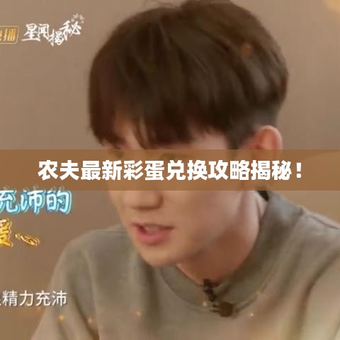 农夫最新彩蛋兑换攻略揭秘!