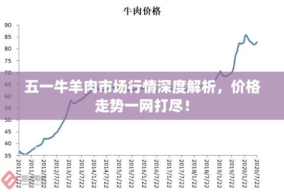 五一牛羊肉市场行情深度解析,价格走势一网打尽!