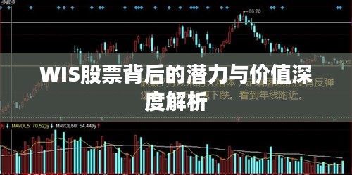 WIS股票背后的潜力与价值深度解析