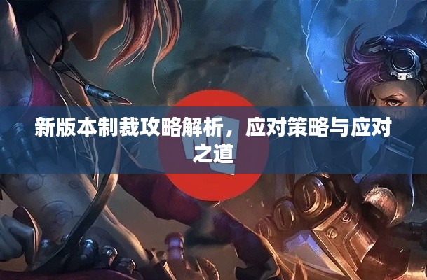 新版本制裁攻略解析,应对策略与应对之道