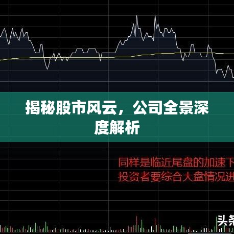 揭秘股市风云,公司全景深度解析