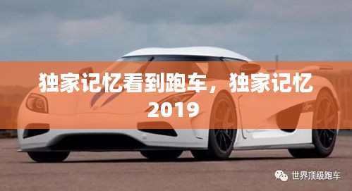 独家记忆看到跑车,独家记忆2019