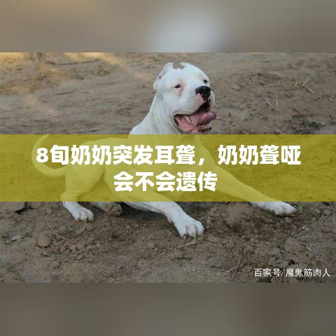 8旬奶奶突发耳聋，奶奶聋哑会不会遗传 