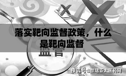 落实靶向监督政策,什么是靶向监督