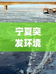 宁夏突发环境事件,宁夏环境污染情况