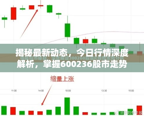 揭秘最新动态,今日行情深度解析,掌握600236股市走势
