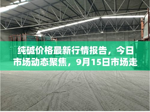 纯碱价格最新行情报告,今日市场动态聚焦,9月15日市场走势分析